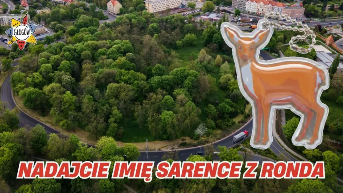 Zabawa dla przedszkoli: Imię dla Sarenki z Ronda