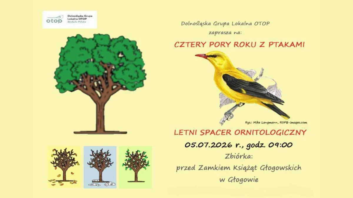 Ornitologiczny spacer w Głogowie