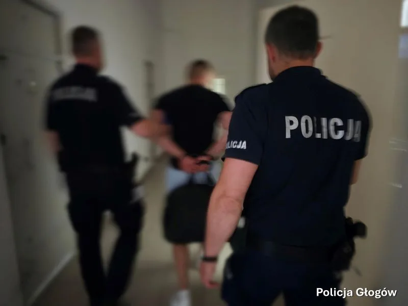 Tymczasowy areszt dla 27-latka podejrzanego o rozbój oraz inne przestępstwa