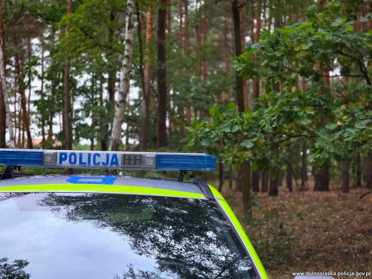Odnaleziono 80-letniego grzybiarza, który zaginął w lesie