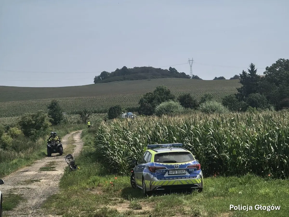 Sukces poszukiwań zaginionego 2-letniego chłopca